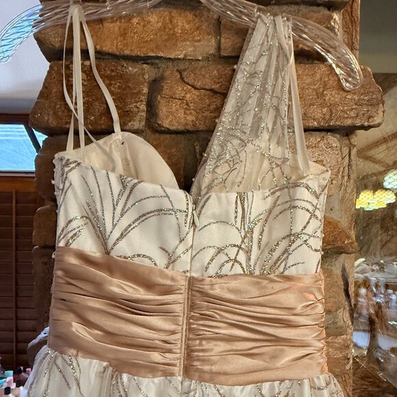 Elegant Ivory Cache Gown with Sequin Details and Blush Waistband - Picture 6 of 7